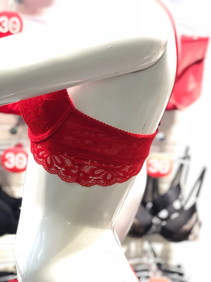 Eleanor Red Flower Lace Bra EPB2403 Female 50s Hea