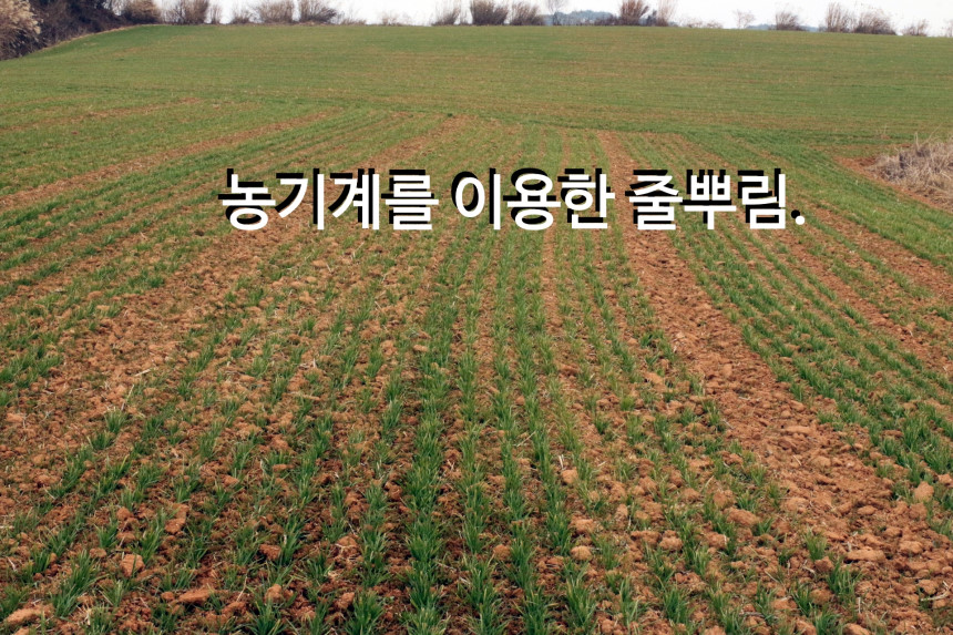 <b><p>Oat flour Korean Zipper pack Ping T Bu Hlthy</p></b><b><p>オートミール 韓国語 ジポペク 包装 ミスト 扶安 健康食 線 おやつ</p></b><br /><br /><p align='center'>