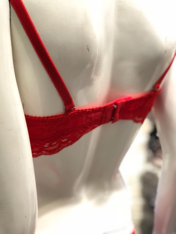 Eleanor Red Flower Lace Bra EPB2403 Female 50s Hea