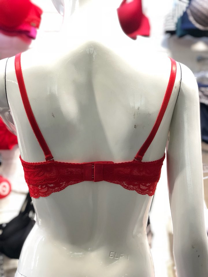 Eleanor Red Flower Lace Bra EPB2403 Female 50s Hea