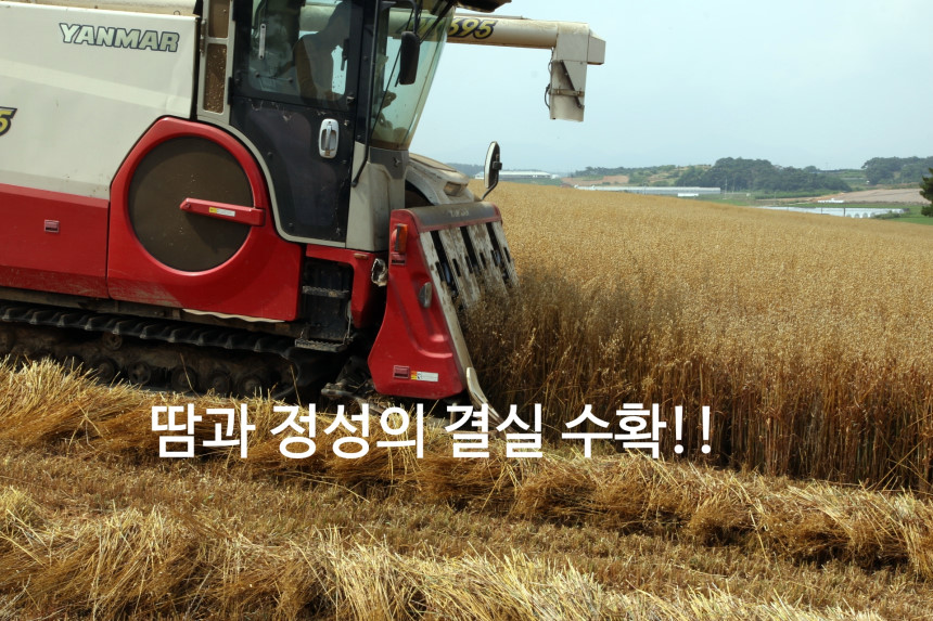 <b><p>Oat flour Korean Zipper pack Ping T Bu Hlthy</p></b><b><p>オートミール 韓国語 ジポペク 包装 ミスト 扶安 健康食 線 おやつ</p></b><br /><br /><p align='center'>