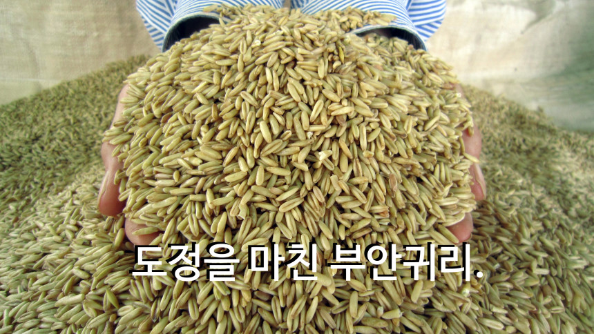 <b><p>Oat flour Korean Zipper pack Ping T Bu Hlthy</p></b><b><p>オートミール 韓国語 ジポペク 包装 ミスト 扶安 健康食 線 おやつ</p></b><br /><br /><p align='center'>