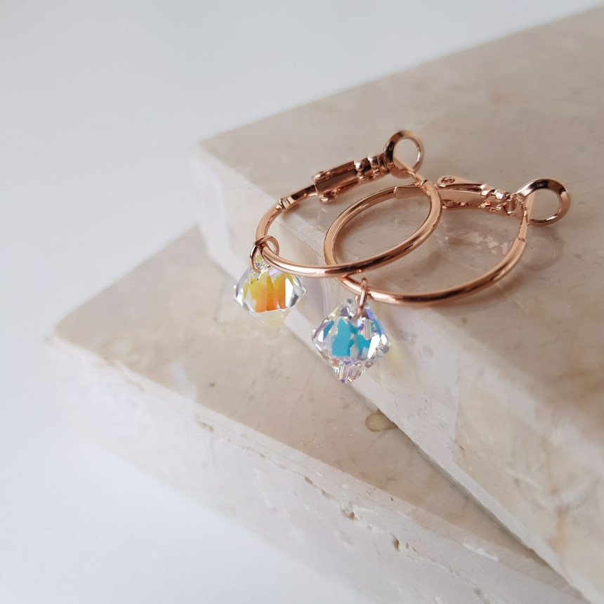 Rosly swallow drop ring earrings 2color date look 