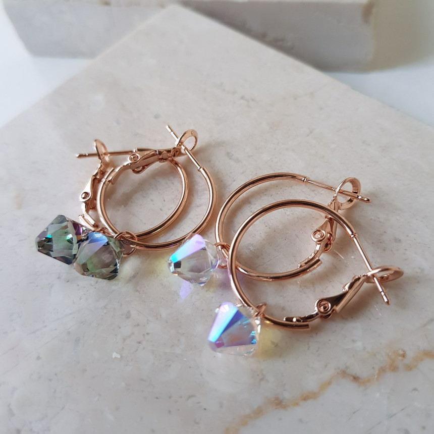 Rosly swallow drop ring earrings 2color date look 