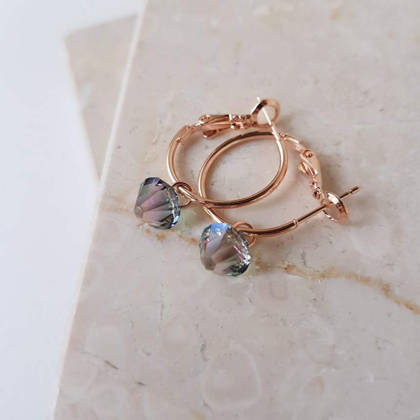 Rosly swallow drop ring earrings 2color date look 
