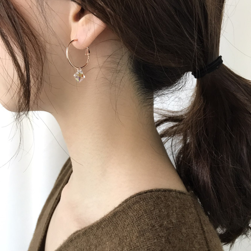 Rosly swallow drop ring earrings 2color date look 