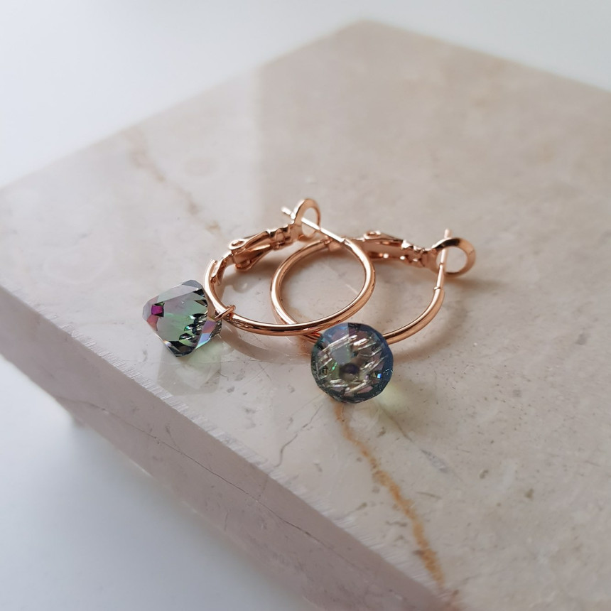 Rosly swallow drop ring earrings 2color date look 