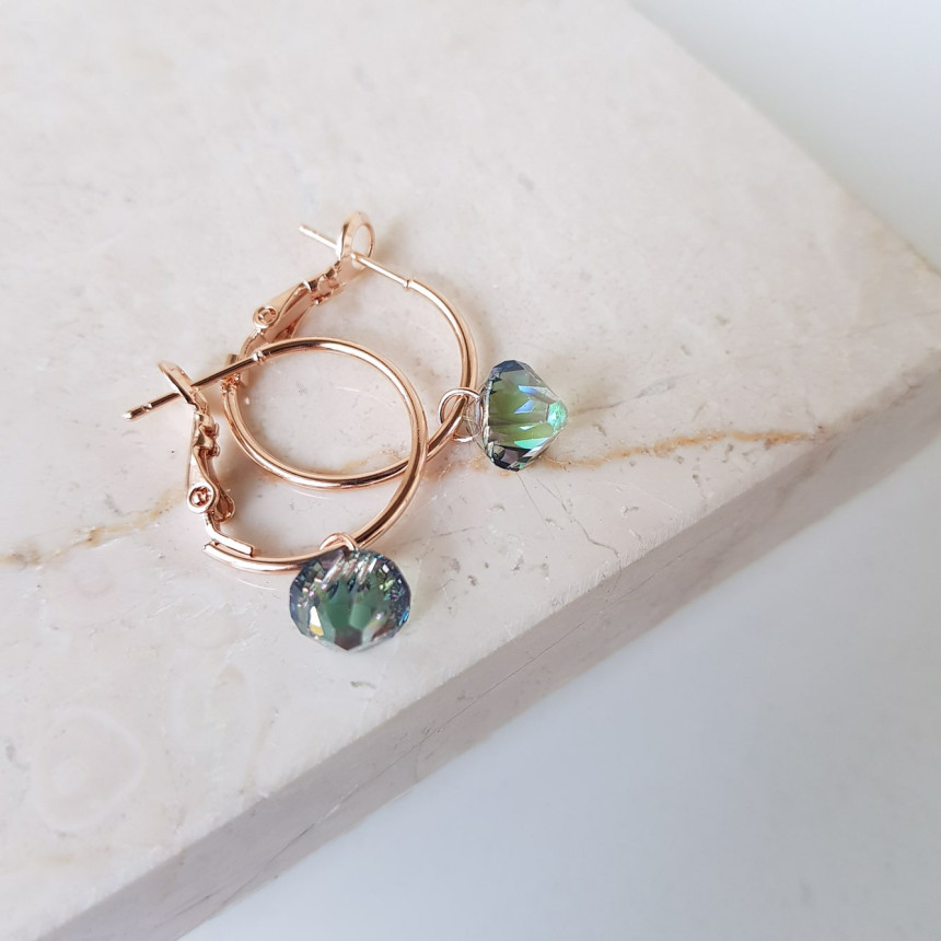 Rosly swallow drop ring earrings 2color date look 