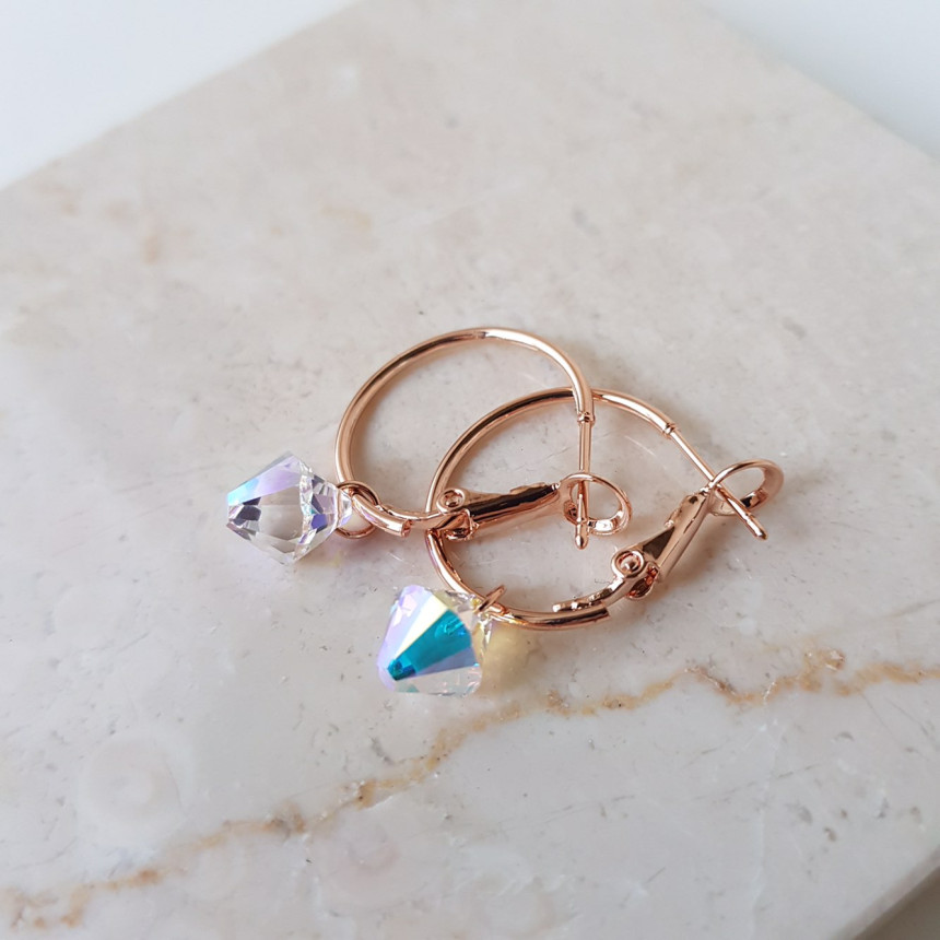 Rosly swallow drop ring earrings 2color date look 