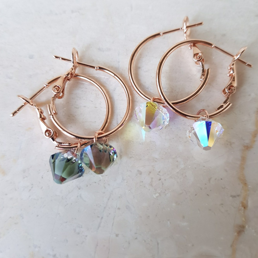 Rosly swallow drop ring earrings 2color date look 