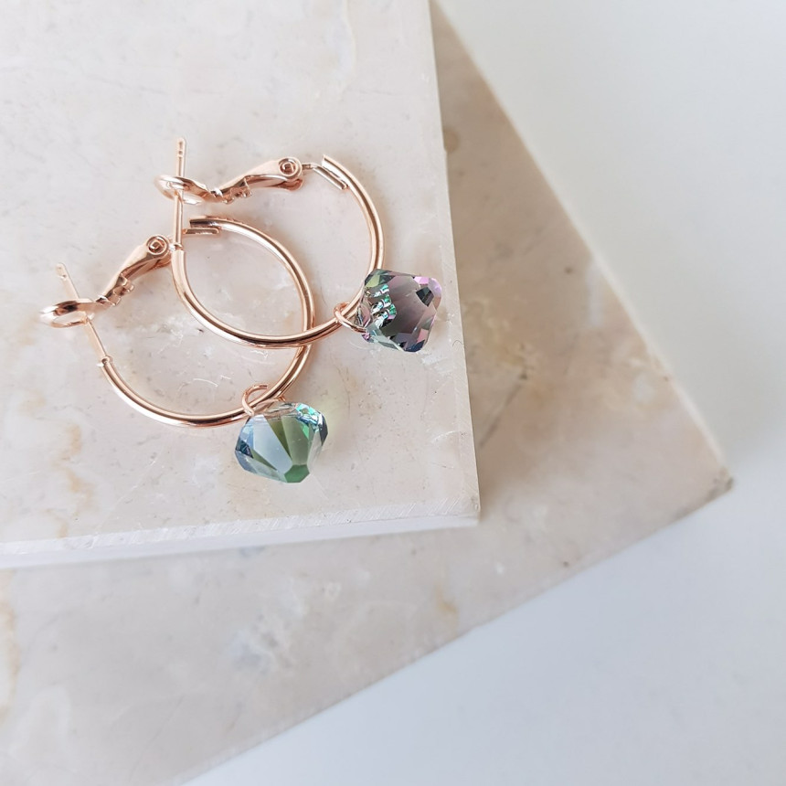 Rosly swallow drop ring earrings 2color date look 
