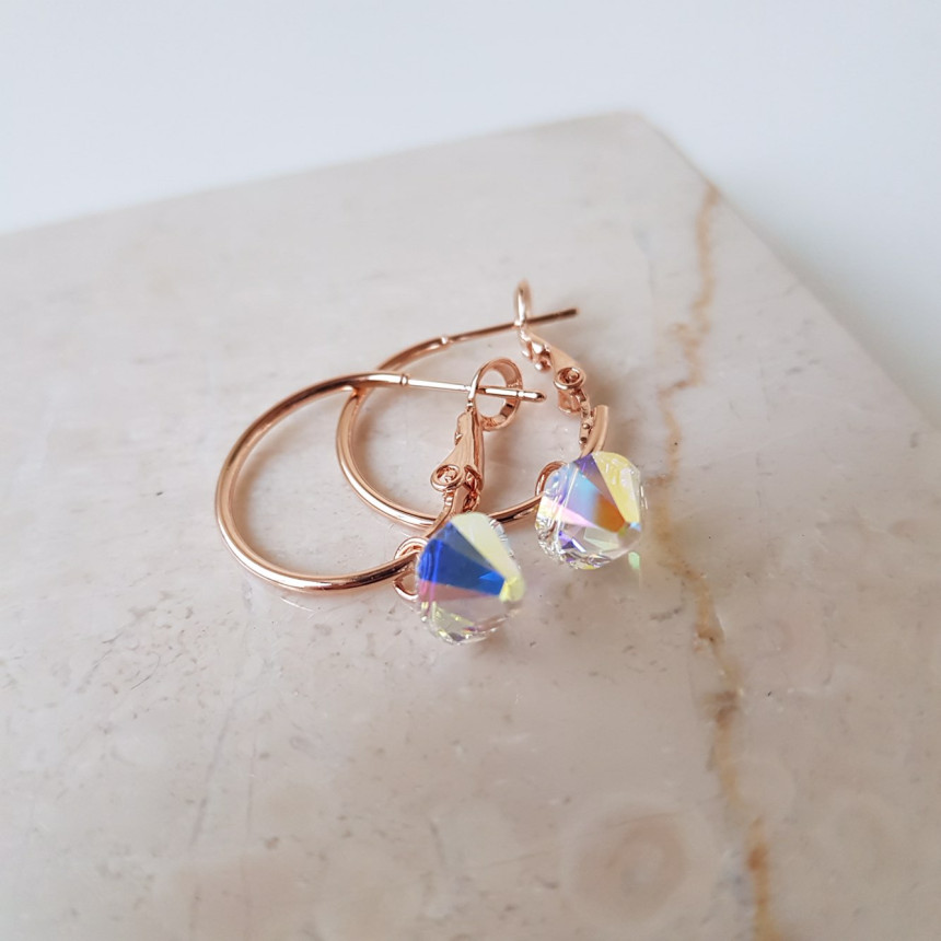Rosly swallow drop ring earrings 2color date look 