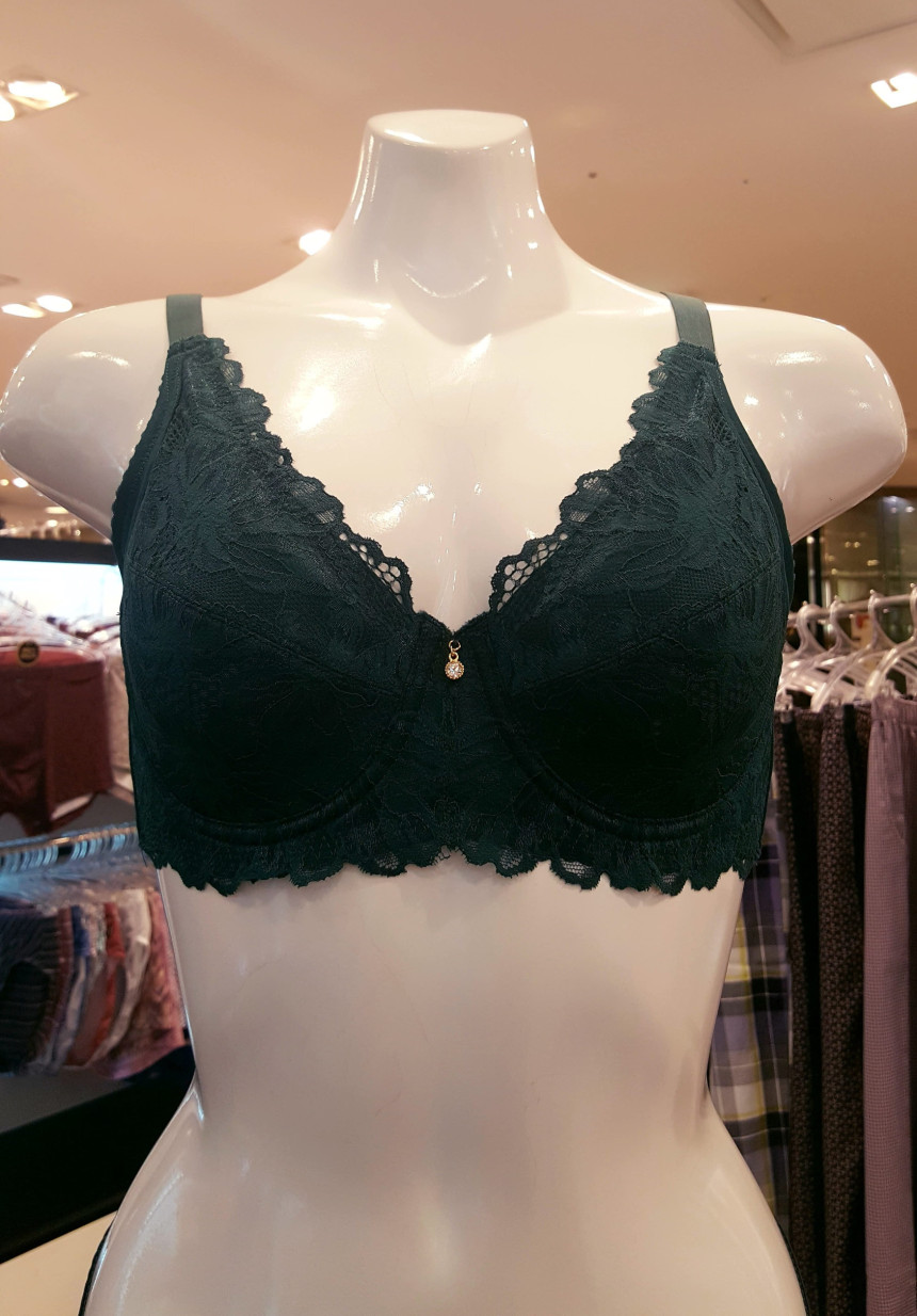 AK PLAZA Vivian Functional Big Size Nonwoven Bra B