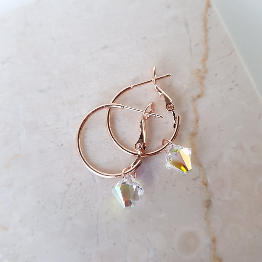 Rosly swallow drop ring earrings 2color date look 