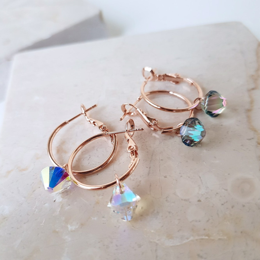 Rosly swallow drop ring earrings 2color date look 
