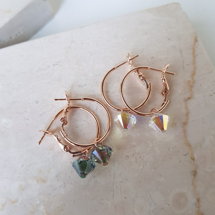 Rosly swallow drop ring earrings 2color date look 