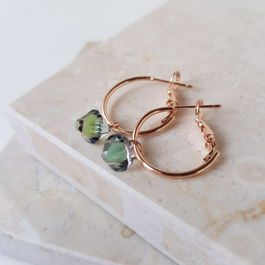 Rosly swallow drop ring earrings 2color date look 