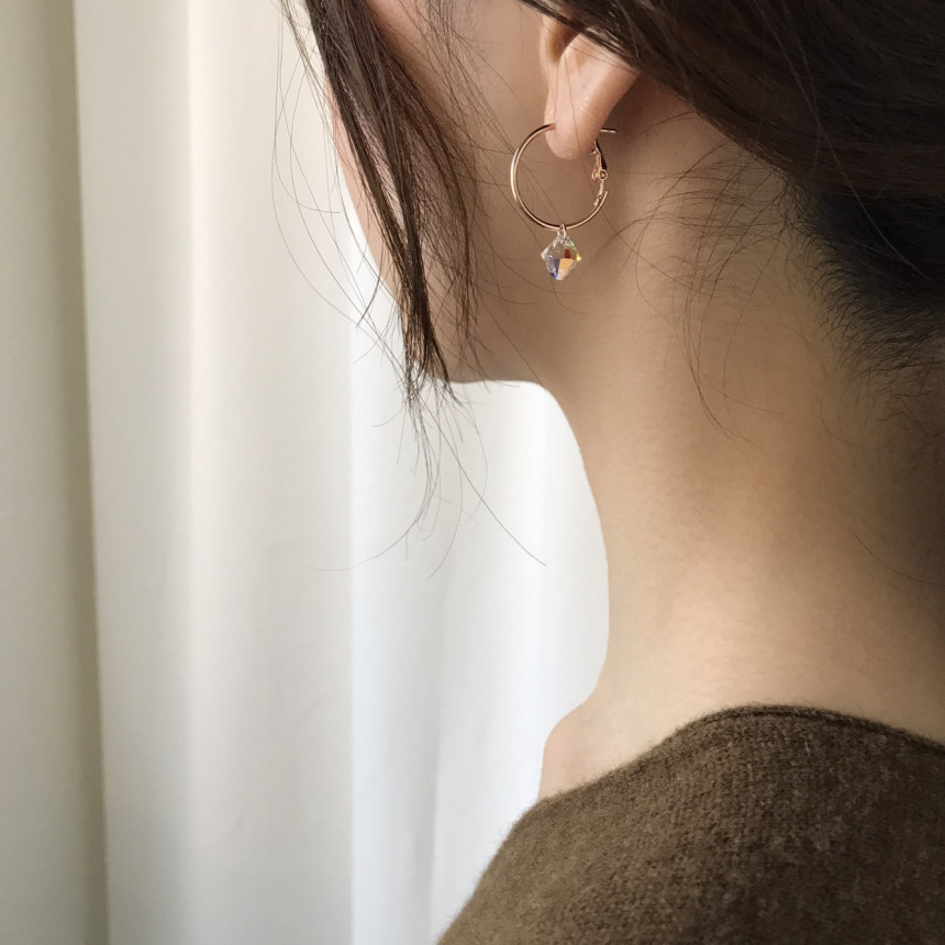 Rosly swallow drop ring earrings 2color date look 