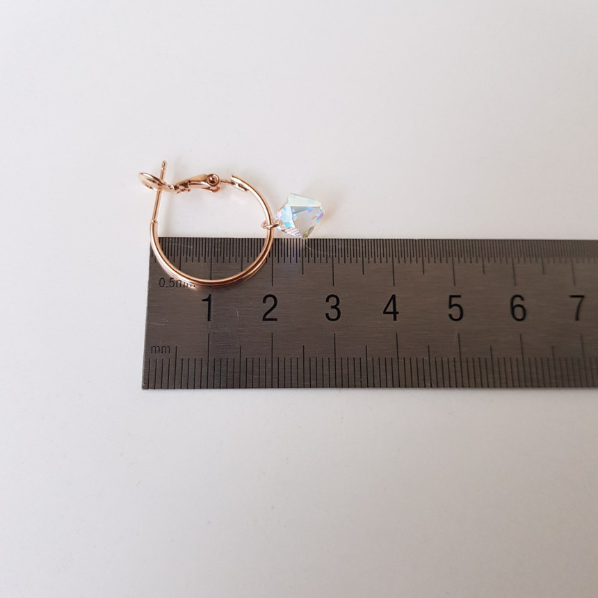 Rosly swallow drop ring earrings 2color date look 