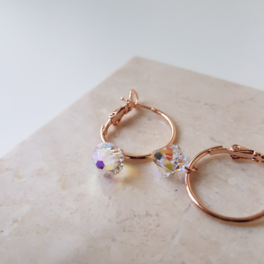 Rosly swallow drop ring earrings 2color date look 