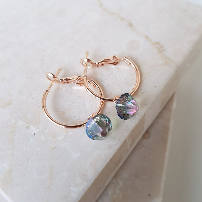 Rosly swallow drop ring earrings 2color date look 