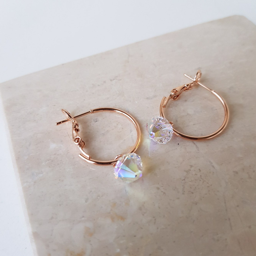 Rosly swallow drop ring earrings 2color date look 