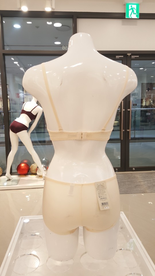 Triumph Cream Color Bread Bun Bra Panties Set TWB0