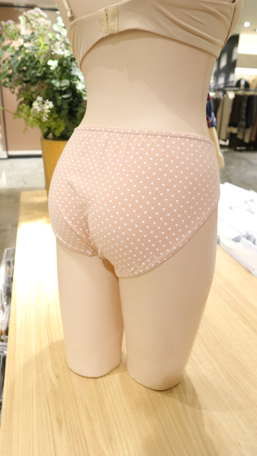 ANI Body Cotton Mini Brief Panties 3SET ANPD18S235
