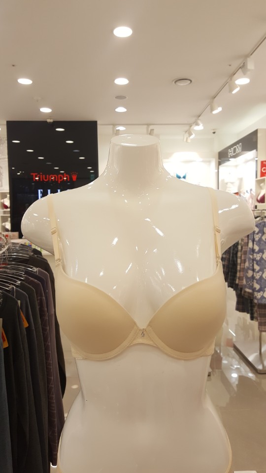 Triumph Cream Color Bread Bun Bra Panties Set TWB0