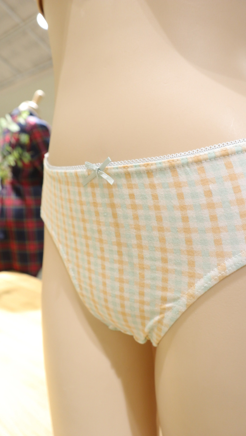 ANI Body Cotton Mini Brief Panties 3SET ANPD18S235