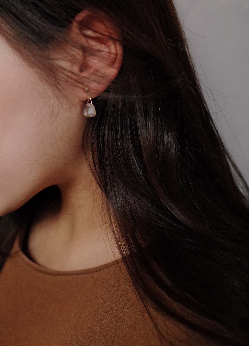 NO.66 Mini Swan Cutting Swarovski Earrings Stylish