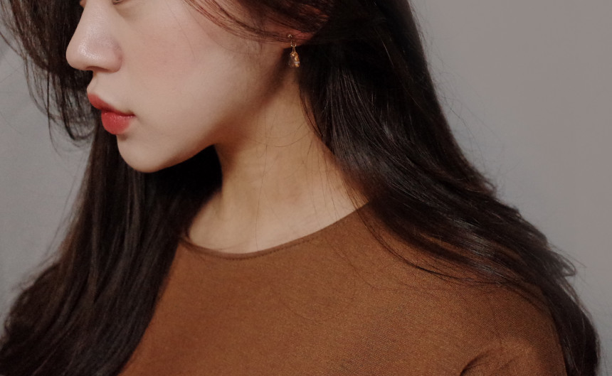 NO.66 Mini Swan Cutting Swarovski Earrings Stylish