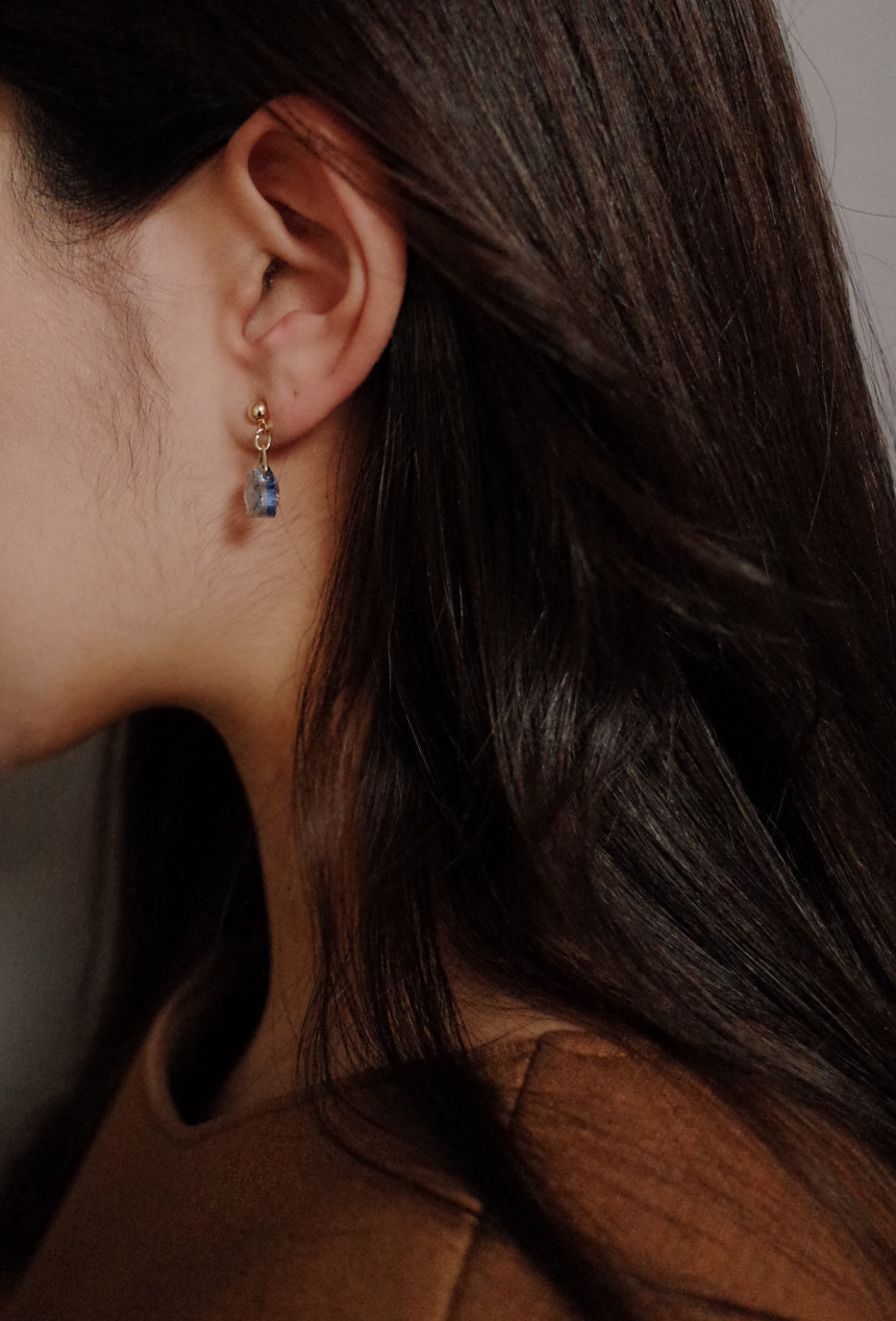 NO.66 Mini Swan Cutting Swarovski Earrings Stylish