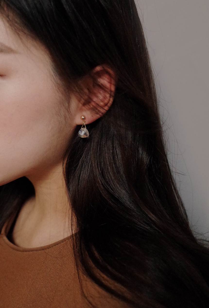 NO.66 Mini Swan Cutting Swarovski Earrings Stylish