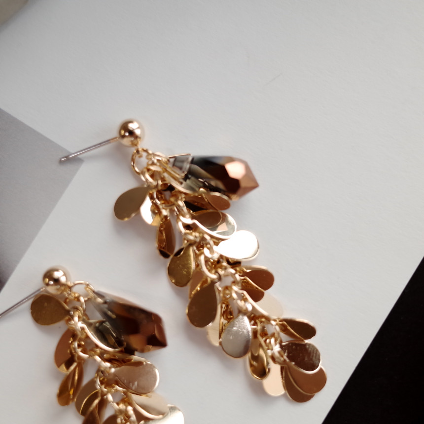 NO.67 Eve Chalang Brown Glass Drop Earrings Stylis