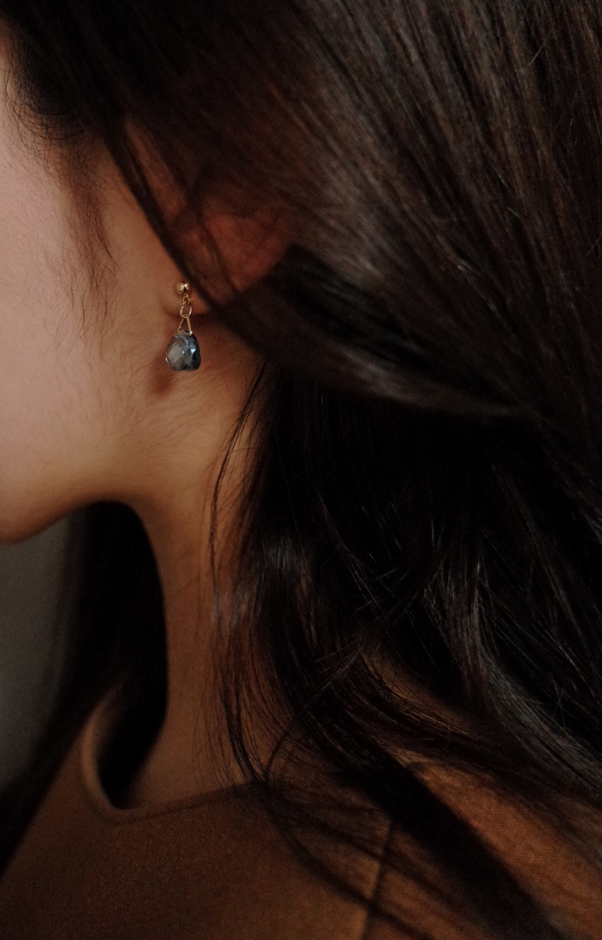 NO.66 Mini Swan Cutting Swarovski Earrings Stylish