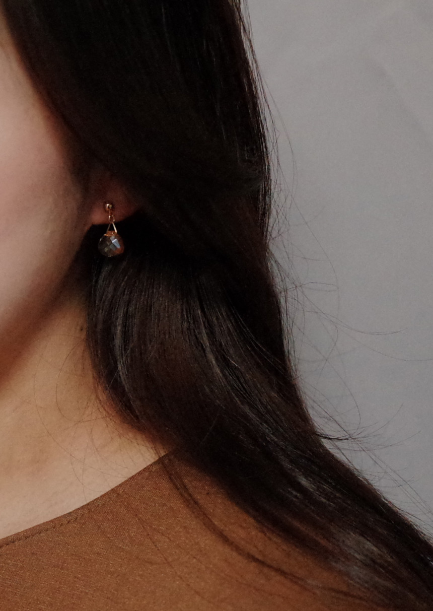 NO.66 Mini Swan Cutting Swarovski Earrings Stylish