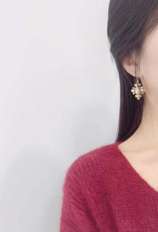 ROSE ANTIQUE 10 PIECE SET Earrings Colorful jewele