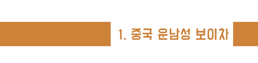 <b><p>never Boy tea extract powd Gallan efficy</p></b><b><p>絶対 プーアル茶 エキス 粉末 葛山 効能 - 中国の雲南省 原料 Korean製造</p></b><br /><br /><p align='center'>