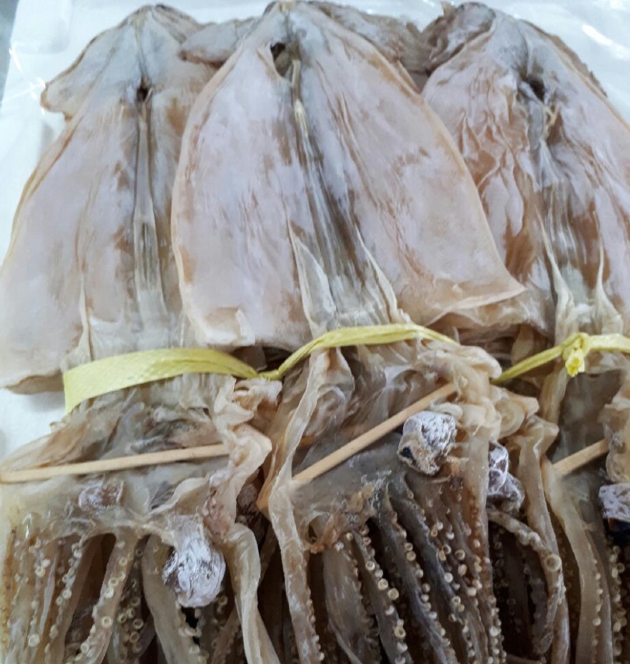마른오징어 5마리 말린오징어 건조오징어 피데기 피대기 - 상세 이미지 2