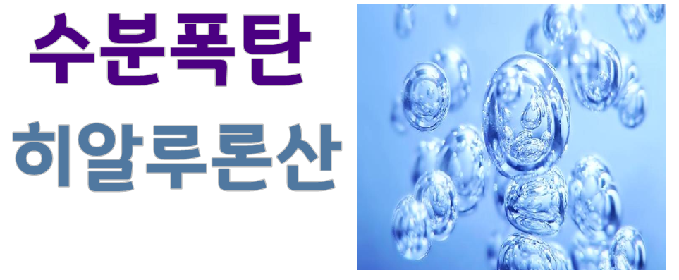 Effect of hyaluronic acid containing fish powder o