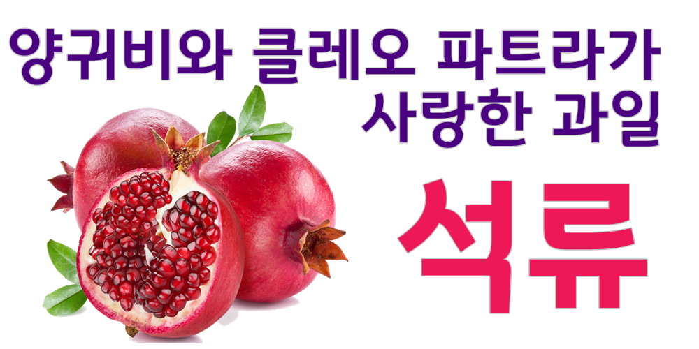 Effect of hyaluronic acid containing fish powder o