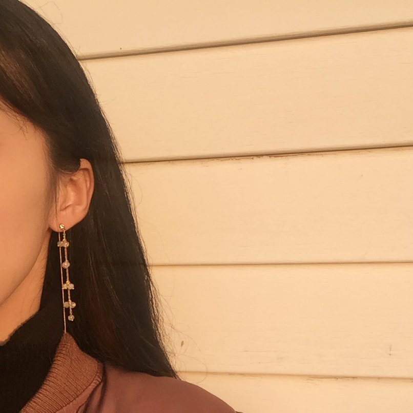 Free Shipping Rome titanium drop earrings chain pe