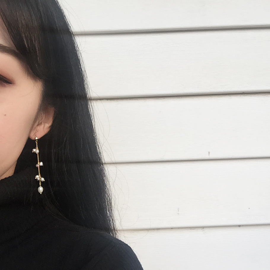 Free Shipping Rome titanium drop earrings chain pe