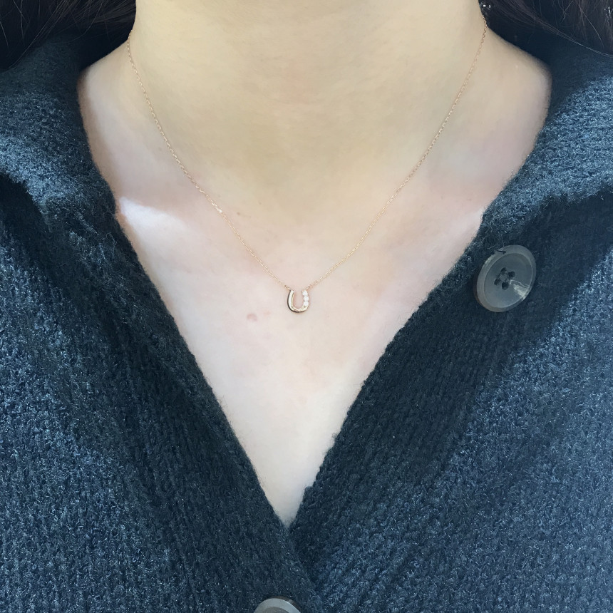 Lloyd's Lucky Symbol Horseshoe Necklace LNT1711