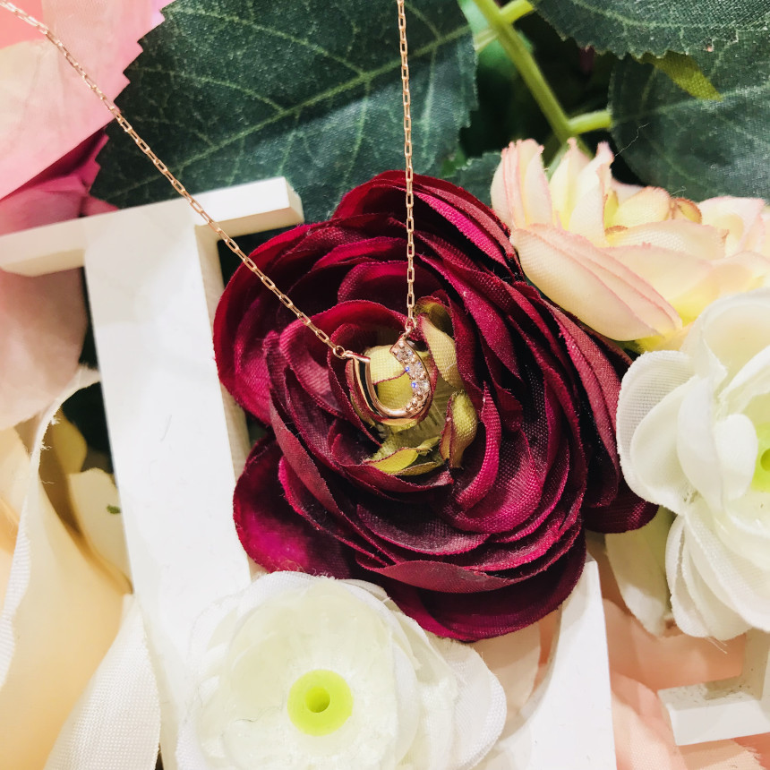 Lloyd's Lucky Symbol Horseshoe Necklace LNT1711