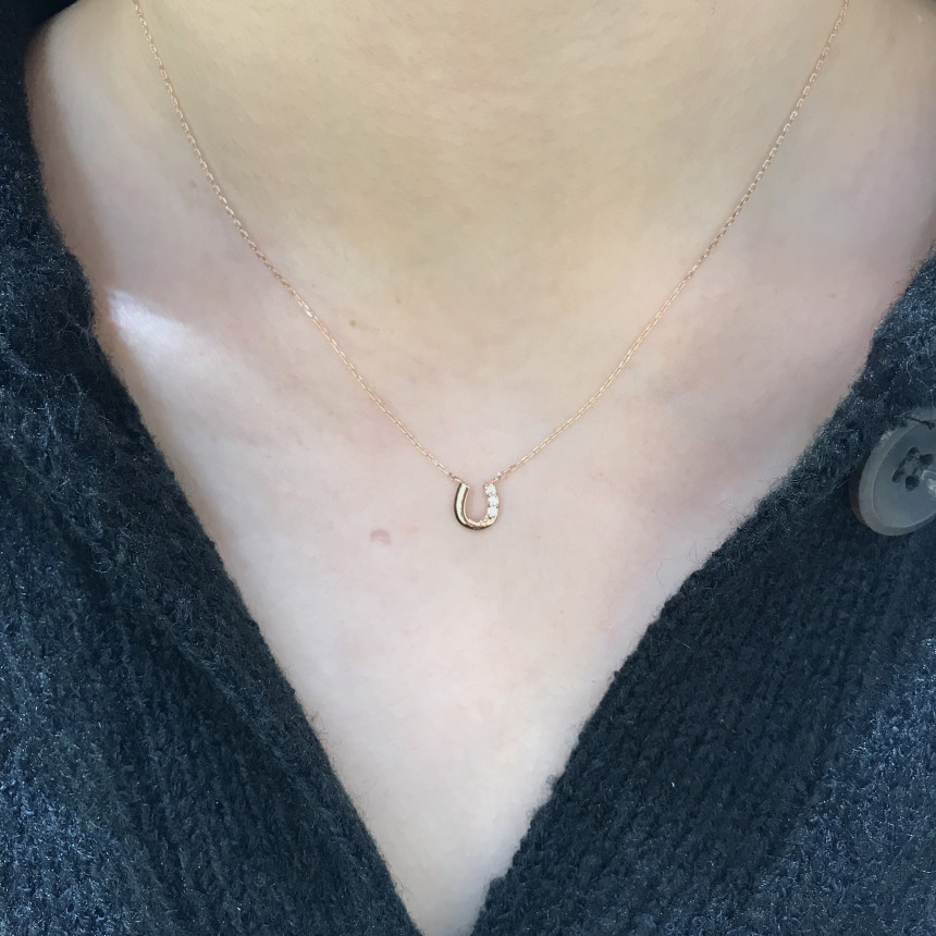 Lloyd's Lucky Symbol Horseshoe Necklace LNT1711