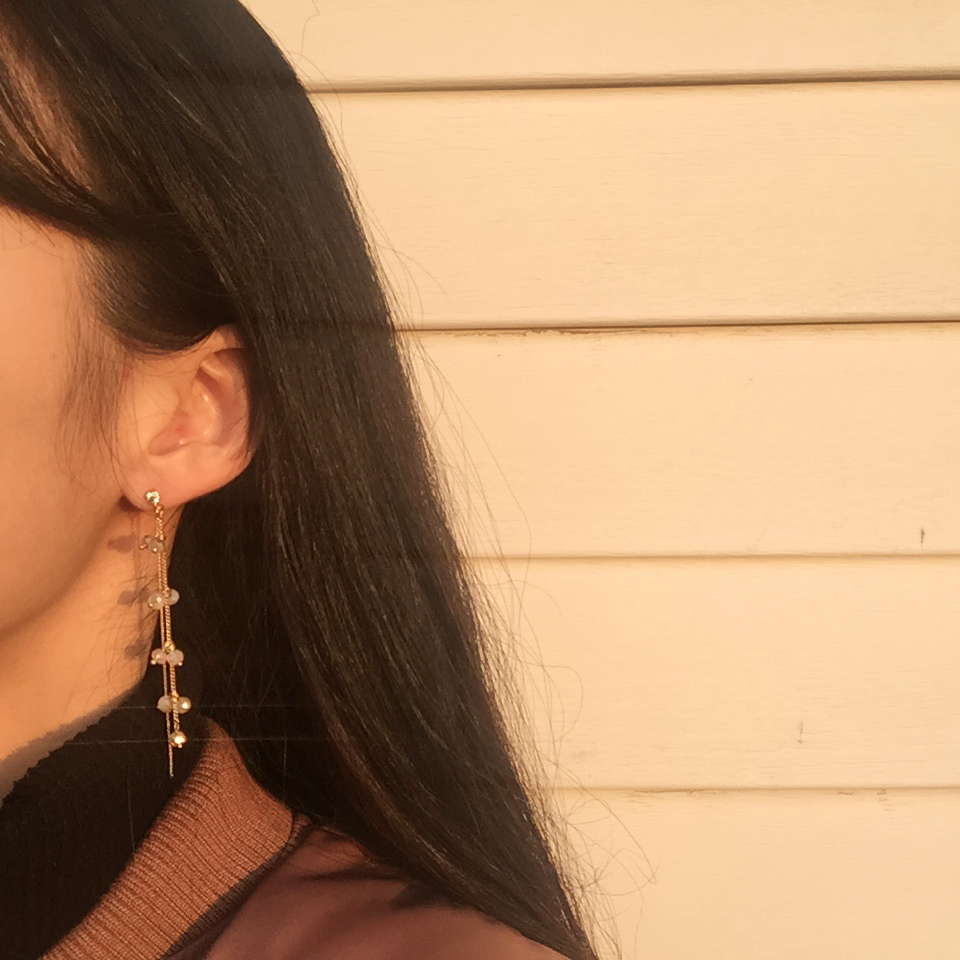Free Shipping Rome titanium drop earrings chain pe