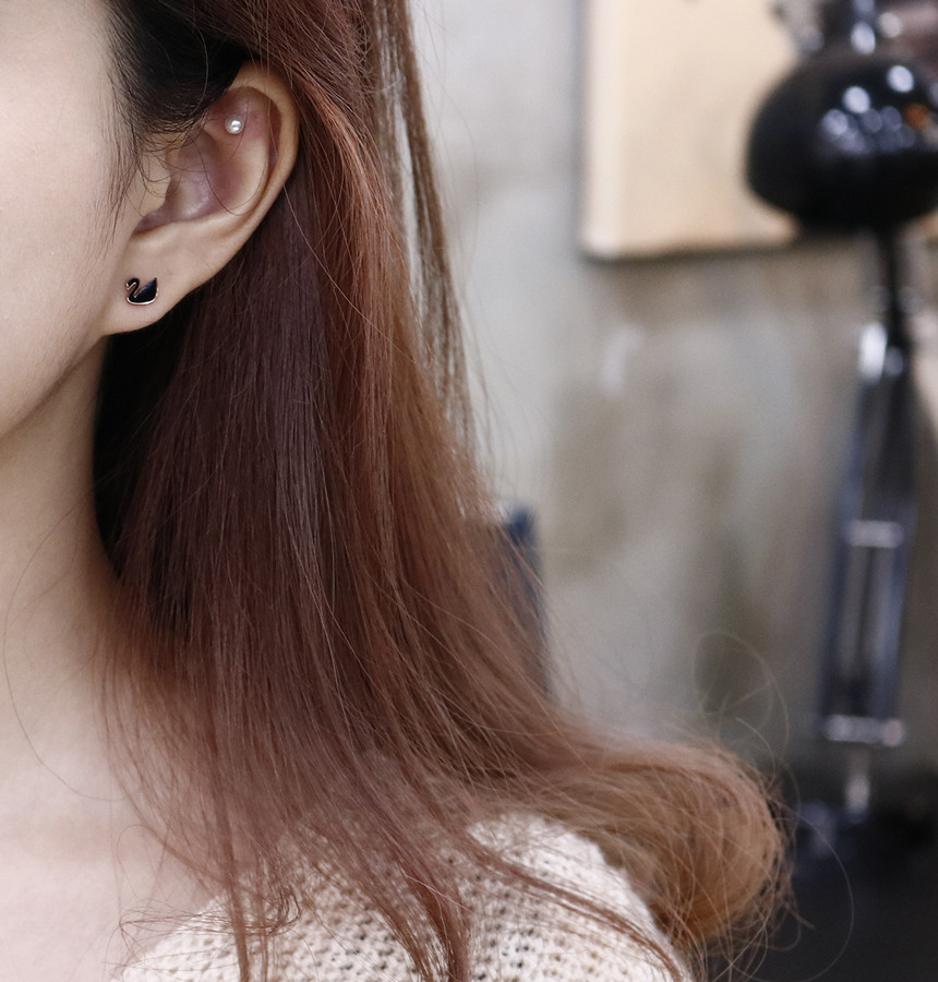 Black color Swan Heart 6 piece Surge Steel Earring