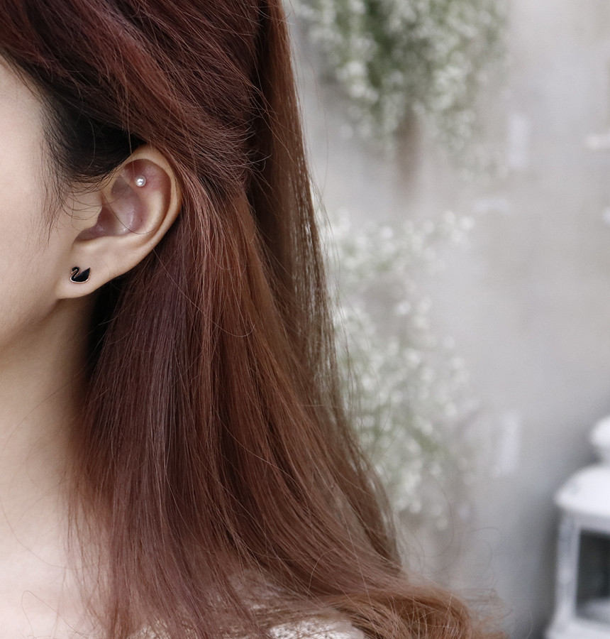 Black color Swan Heart 6 piece Surge Steel Earring